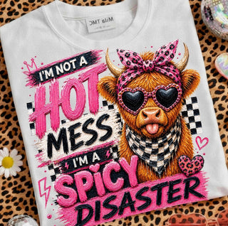 I’M NOT A HOT MESS