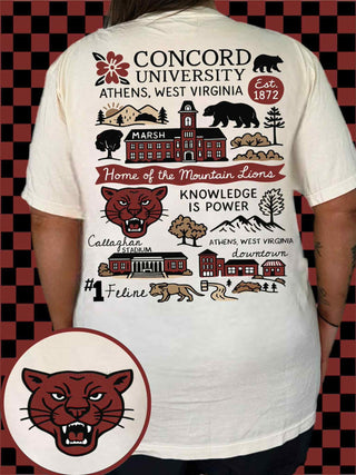 COLLEGE DESIGNS ( choose from the schools pictured)