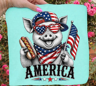 AMERICA