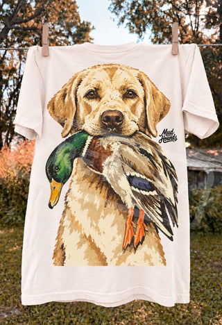 YELLOW LAB