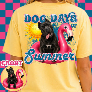 DOG DAYS OF SUMMER