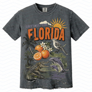 FLORIDA ORANGES