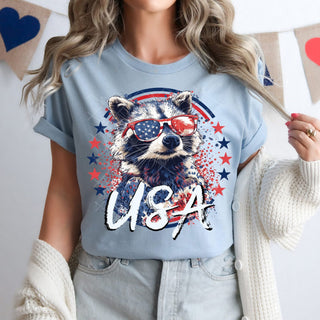 USA RACCOON