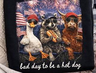 BAD DAY TO ME A HOT DOG