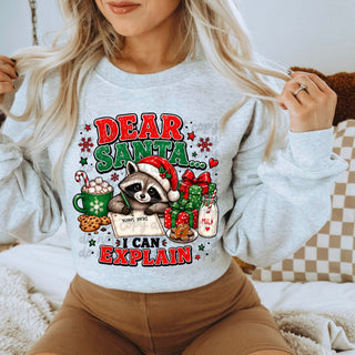 DEAR SANTA I CAN EXPLAIN