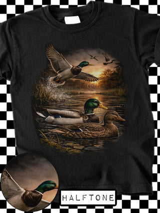 DUCKS
