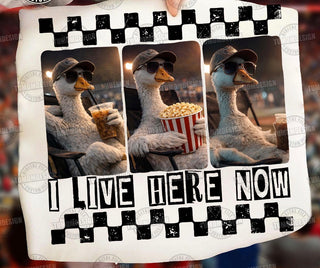 I LIVE HERE NOW