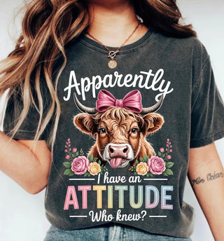 APPARENTLY I HAVE AN ATTITUDE